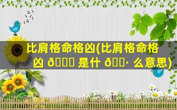 比肩格命格凶(比肩格命格凶 🐝 是什 🌷 么意思)